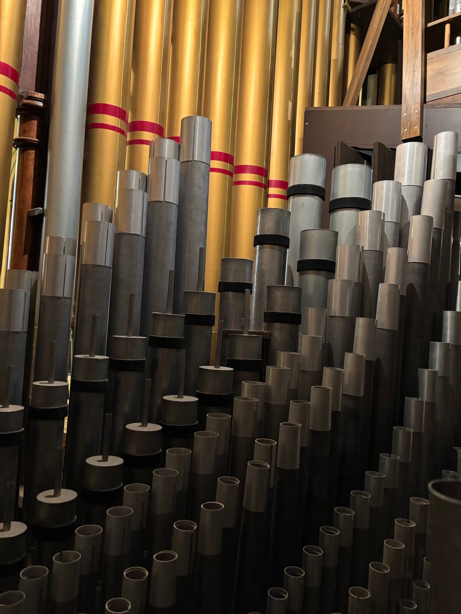 Organ Pipes