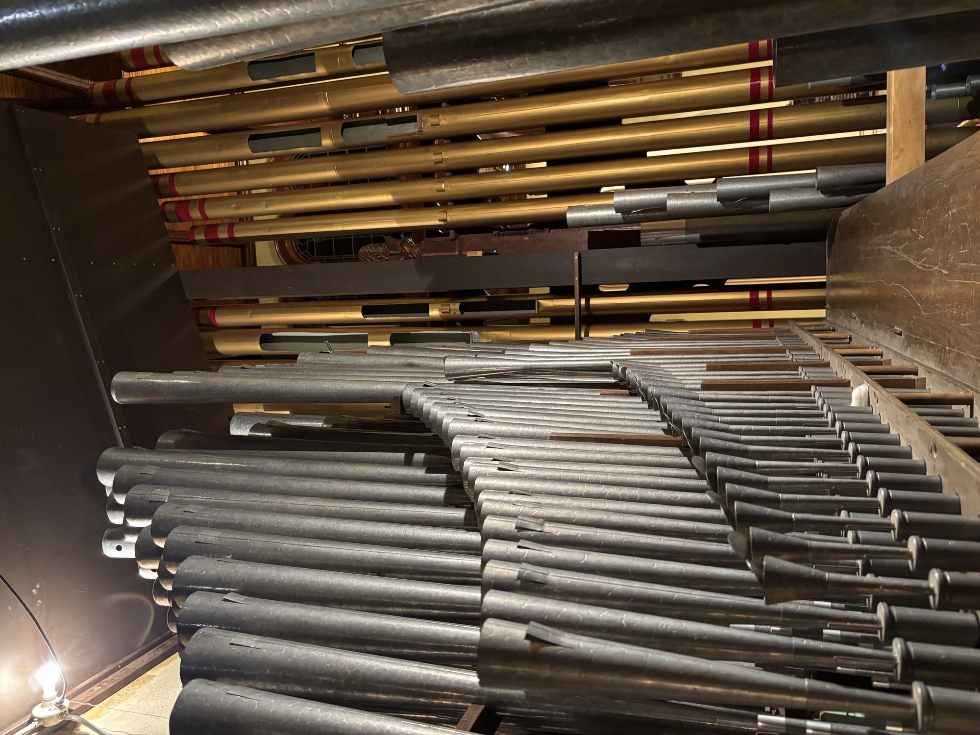 Photo5Reedpipewalkboard